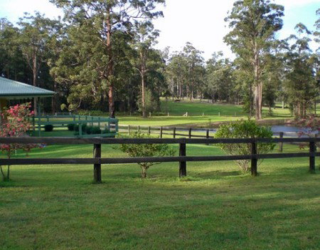 Neds Bed Horse O Tel - Accommodation Burleigh 2