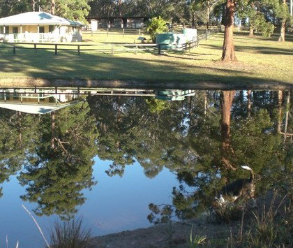 Neds Bed Horse O Tel - Accommodation Burleigh 4