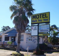 Blackboy Tree Motel
