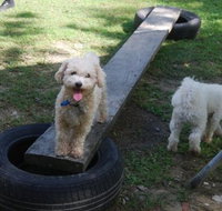 Beenleigh Pet Motel - Accommodation Burleigh