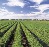 Diplomat Motel amp Restaurant - Accommodation Burleigh