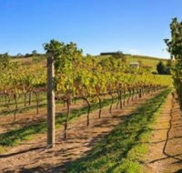 DeVine Escape - Accommodation Burleigh