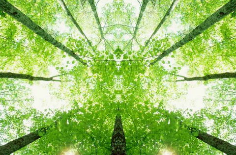 Ibis Budget Wentworthville - Accommodation Burleigh 2