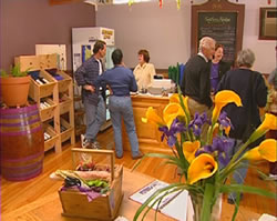 Settlers Ridge Organic Wines - Accommodation Burleigh 0