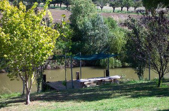 Colonial Inn Tamworth - Accommodation Burleigh 3