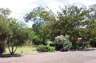 Colonial Inn Tamworth - Accommodation Burleigh 4