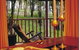 Eaglereach Wilderness Resort - thumb 0