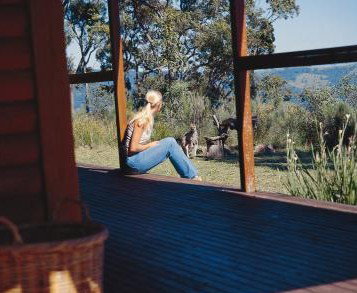 Eaglereach Wilderness Resort - Accommodation Burleigh 2