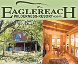 Eaglereach Wilderness Resort - Accommodation Burleigh 5