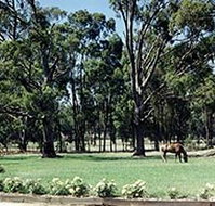 Saratoga Lodge - Accommodation Burleigh
