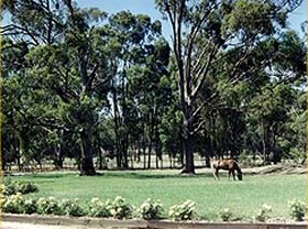 Saratoga Lodge - Accommodation Burleigh 0