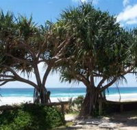 Pacific Surf Absolute Beachfront Apartments - Accommodation Burleigh