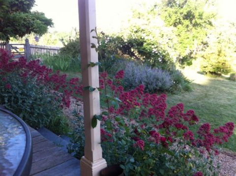 Cookes Cottage - Accommodation Burleigh 2