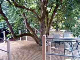 Magnolia House Marysville - Accommodation Burleigh 0