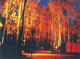 Dwellingup Chalet & Caravan Park - Accommodation Burleigh 0