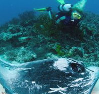 Heron Island Resort - Accommodation Burleigh