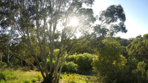 Springs Creek - Accommodation Burleigh 4