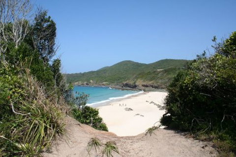 @ Forster - Accommodation Burleigh 1