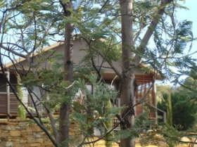 Blue Cliffs Retreat - Accommodation Burleigh 0