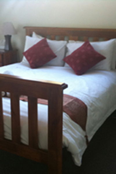 Grass-Tree - Accommodation Burleigh 1