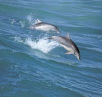 Seachange - Accommodation Burleigh