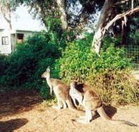 Avoca Dell Caravan Park - Accommodation Burleigh