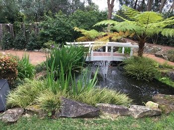 Checkers Resort & Conference Centre - Accommodation Burleigh 20