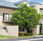 Quest Maitland Serviced Apartments - Accommodation Burleigh