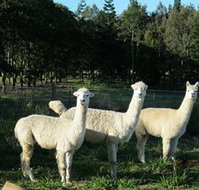 Blackwattle Farm BampB and Farm Stay - Accommodation Burleigh