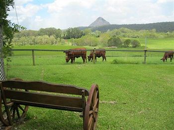 Blackwattle Farm B&B And Farm Stay - Accommodation Burleigh 1