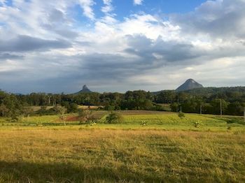 Blackwattle Farm B&B And Farm Stay - Accommodation Burleigh 3