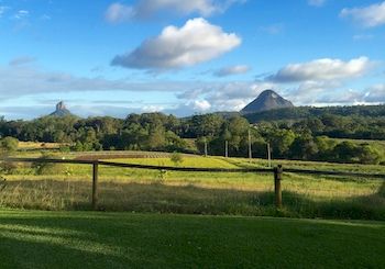 Blackwattle Farm B&B And Farm Stay - Accommodation Burleigh 7