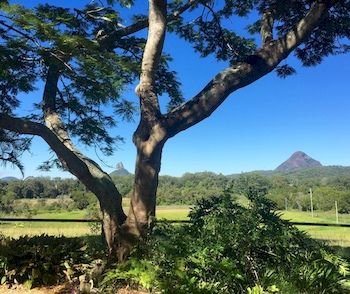 Blackwattle Farm B&B And Farm Stay - Accommodation Burleigh 9