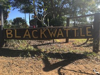 Blackwattle Farm B&B And Farm Stay - Accommodation Burleigh 10