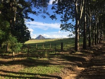 Blackwattle Farm B&B And Farm Stay - Accommodation Burleigh 12