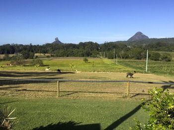 Blackwattle Farm B&B And Farm Stay - Accommodation Burleigh 29