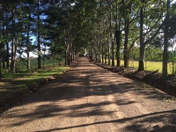 Blackwattle Farm B&B And Farm Stay - Accommodation Burleigh 46