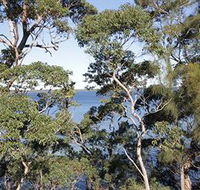 The Edgewater Bed amp Breakfast - Accommodation Burleigh