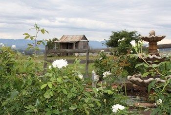 Strathearn Park Lodge - Accommodation Burleigh 16