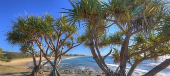 Alex Beach Cabins - Accommodation Burleigh 1