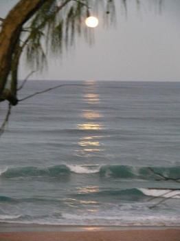 Andari - Accommodation Burleigh 2