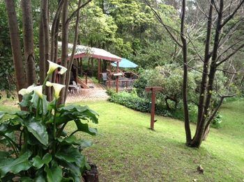 Stones Throw Cottage Bed & Breakfast - Accommodation Burleigh 11
