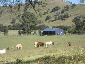 The Wattle Lodge - Accommodation Burleigh 19