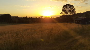 The Wattle Lodge - Accommodation Burleigh 35