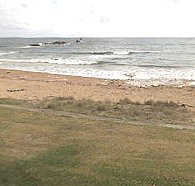 Penguin Caravan Park - Accommodation Burleigh