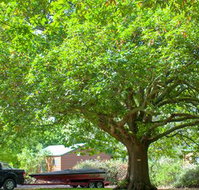 Lakes and Craters Holiday Park - Accommodation Burleigh