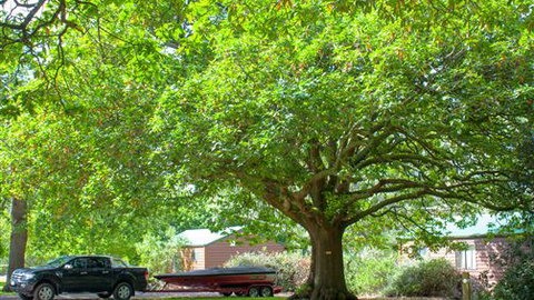 Lakes And Craters Holiday Park - Accommodation Burleigh 0