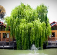 Perricoota Vines Retreat Echuca Moama - Accommodation Burleigh