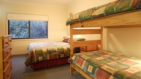 Diana Alpine Lodge - Accommodation Burleigh 1