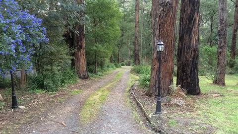 Wattle Tree Creek Cottages - Accommodation Burleigh 5